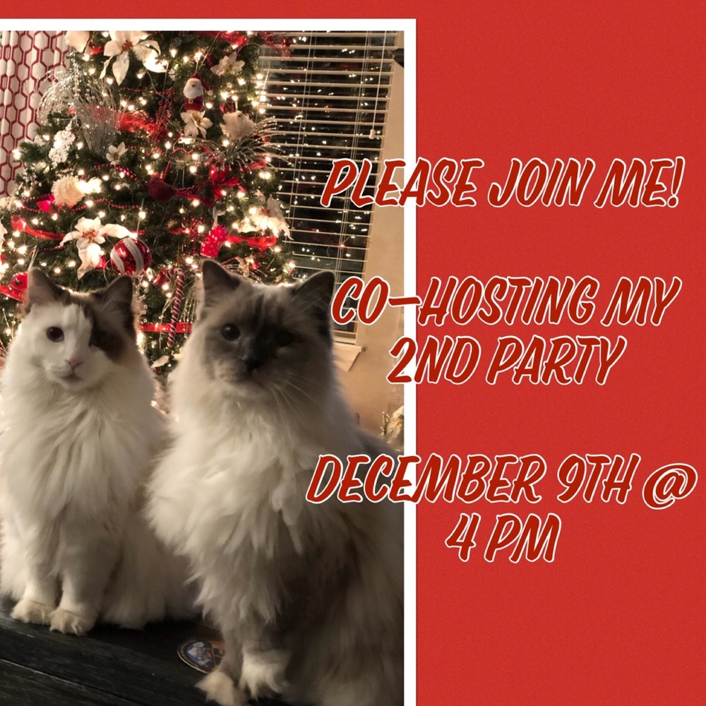 It’s a Christmas Miracle! I’m Co-Hosting Again!